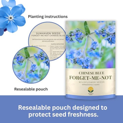 Forget-Me-Not Seeds (Chinese Blue) – 5,000+ Seeds – 1 oz Bulk Extra Large Packet – Covers 100 sq ft – Non-GMO Cynoglossum amabile – Sky Blue Blooms for Wildflower Gardens