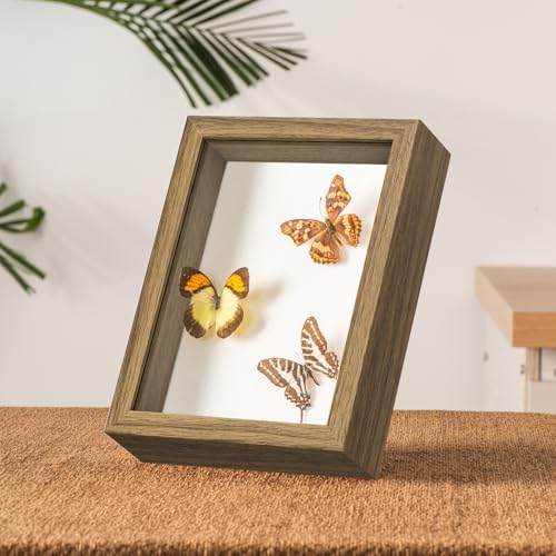 5x7 Small Shadow Box Frame with Ultra-Clear Glass & Soft Linen Back | With Push Pins and Stand, Deep 1.2" Brown Shadow Box Display Case – Display on Tabletop or Wall for Photo, Flower, Keepsakes - color: Brown+high Definition Panel + Shatter-proof Packagi