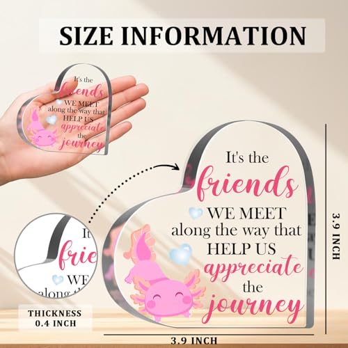 Axolotl Lover Gifts for Women Girls Friendship Keepsake Acrylic Gifts Inspirational Axolotl Decorative Acrylic Sign for Friend Coworker Office School Desk Shelf - style: Axolotl 01