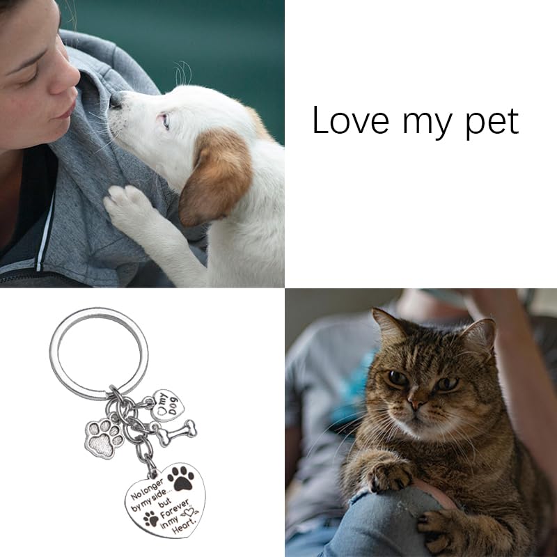 Dog Memorial Gifts for Loss of Dog Keychain Sympathy Gift for Women Men Puppy Remembrance Gift for Dog Lover - style: No Longer Dog