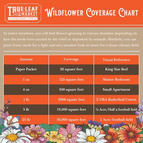 Mountain Valley Seed Co Wildflower Seed - Rocky Mountain Mix 2 oz Non-GMO | 80,000 Seeds – 18 Varieties – Bulk Pollinator-Friendly Blend for Planting - style: Rocky Mountain