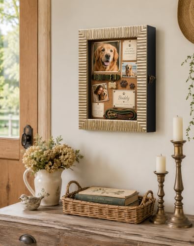 11x14 Shadow Box Picture Frame for Travel Souvenirs Postcard,Champagne Gold - color: Champagne Gold, size: 11x14