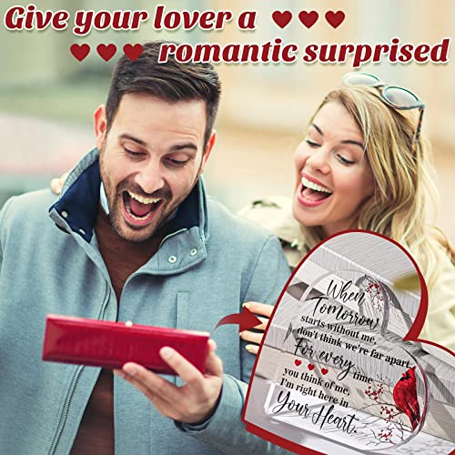 Yulejo Red Cardinal Memorial Gift Acrylic Heart Sympathy,Novelty Style - style: Novelty Style