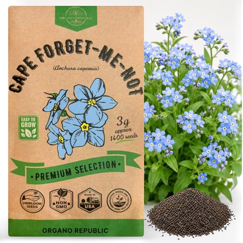 Cape Forget-Me-Not Seeds Pack 3G - Over 1,400 Non-GMO Heirloom Cape Forget-Me-Not Seeds for Planting Flowers in Individual Seed Packet, Flower Seeds for Planting Home Garden Indoor & Outdoor Gardening