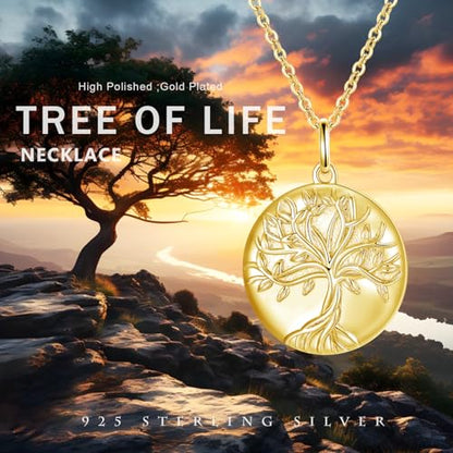 TUGHRA Mother's Day Gifts Gold Locket Necklaces for Women, 925 Sterling Silver Heart Photo Lockets Memorial Keepsake Jewelry Gift for Mom, Wife, Daughter - style: 0372-Gold