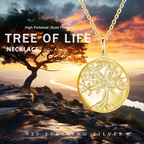TUGHRA Mother's Day Gifts Gold Locket Necklaces for Women, 925 Sterling Silver Heart Photo Lockets Memorial Keepsake Jewelry Gift for Mom, Wife, Daughter - style: 0372-Gold