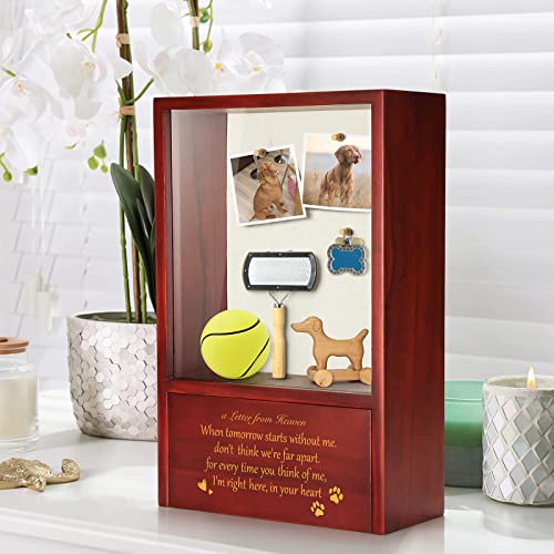TJ.MOREE Dog Memorial Keepsake - Personalized Dog Urn Cremation Memorial Display Case - Letter from Heaven - color: Letter from Heaven
