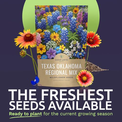 Texas Oklahoma Regional Mix Seeds for Planting - Bulk 1 Pound Bag - Over 240,000 Native Seeds - Open Pollinated and Non GMO - size: Bulk 1 Pound, style: Texas / Oklahoma Regional Mix
