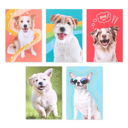 American Greetings 17-Count Thinking of You Blank Greeting Card Pack, Playful Dog Photo Assortment