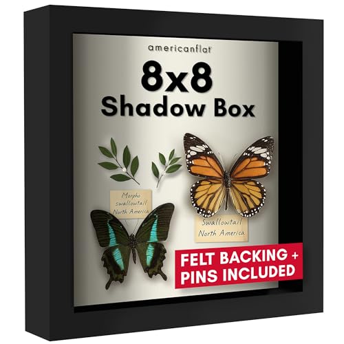 Americanflat 8x8 Shadow Box Frame with Shatter-Resistant Glass - Silhouette Collection - Small Shadow Box Display Case for Tabletop and Wall Display - Black with Soft Felt Back | Shatter-resistant glass, 1.5 inch interior depth, displays keepsakes, medals