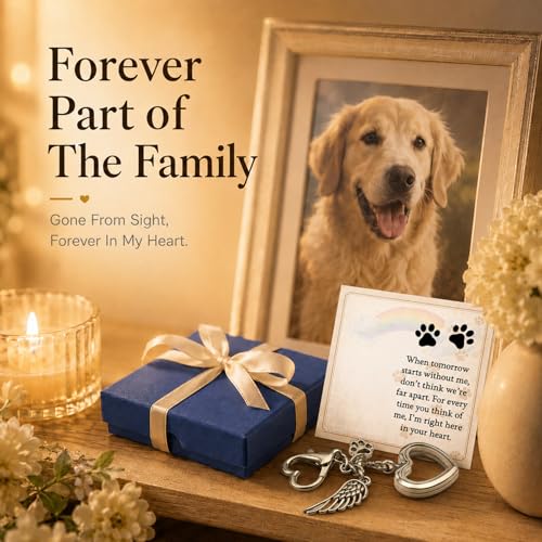 Dog Memorial Gift for Loss of Dog, Pet Hair Keepsake with Angel Wing Charm, Rainbow Bridge Sympathy Gift for Grieving Pet Owners, Heart Memorial Keepsake for Dog and Cat Lovers