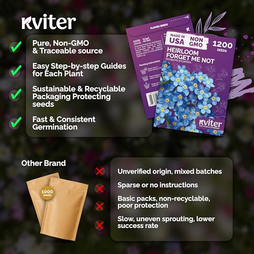 1200 Forget Me Not Heirloom Flower Seeds for Planting, Myosotis Sylvatica | Charming Blue Spring Flowers for Shady Gardens, Easy to Grow Seed Packets , Heirloom Seeds for Planting, Perfect for Borders