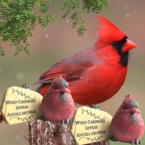 Memorial Remembrance Desktop Plaques Set of 2 – Sympathy Gifts for Loss of Loved One – “When Cardinals Appear Angels Are Near” Bereavement Signs – In Loving Memory Keepsake Desk Décor