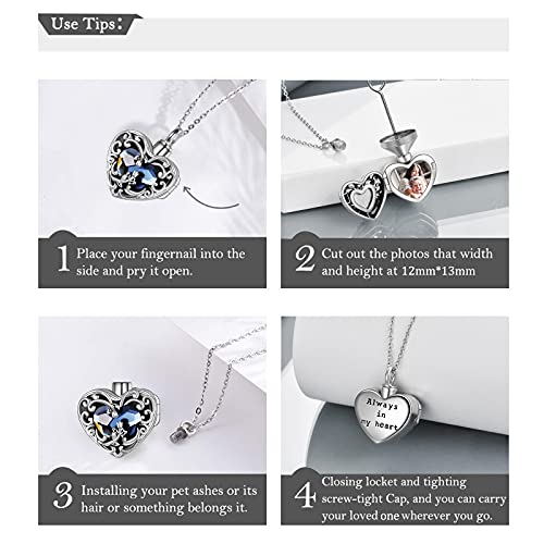 WINNICACA Cremation Jewelry for Ashes Locket Ashes Necklace Urn Necklace for Women Sterling Silver Cremation Necklace for Ashes Fine Keepsake Picture Necklace Memorial Jewelry - style: A01-Rose Urn Locket Necklace(Blue Crystal)