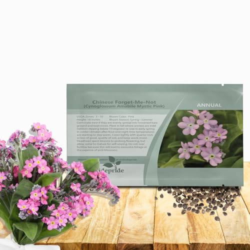Outsidepride Cynoglossum Pink Chinese Forget-Me-Not Seeds - 1000 Pcs Self-Sowing Annual Flower Seeds for Planting w/Dense Pink Blooms & Upright Growth Habit for Borders, Pollinator & Cottage Gardens - size: 1000 Seeds