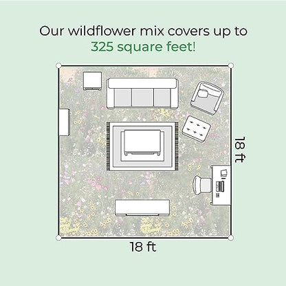 Wisconsin Wildflower Seed Mix – Over 40,000 Flower Seeds, Covers 300 Sq Ft | 16 Colorful Annual and Perennial Wildflower Varieties for Wisconsin Gardens, Attracts Bees, Butterflies and Other Pollinators