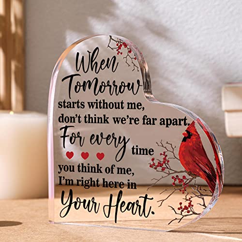 Yulejo Red Cardinal Memorial Gift Acrylic Heart Sympathy,Novelty Style - style: Novelty Style
