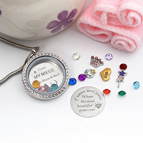 Beffy Locket Gifts for Niece Aunt, Floating Living Memory Necklace Pendant | Pendant Charm & Birthstone for Women, Mothers Day, Birthday, Stainless Steel - color: NiecesAunt-C001