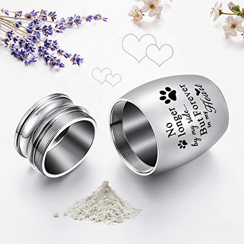 XIUDA 1.57 inches Mini Pet Memorial Small Urns for Dog and Cat Ashes, Stainless Steel Cremation Urn, Pet Paw Print Keepsake Urn for Ashes - color: S Silver-engraving