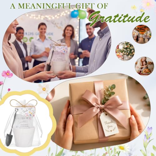 24 Sets Thank You Seed Card Sets Wildflower Appreciation Gift | Wildflower Seeds of Gratitude Packets Gifts Bulk (No Seed), for Women Coworker, Teacher, for Baby Shower Wedding Party Favors - style: Thank You