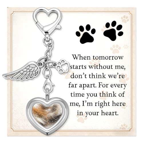 Dog Memorial Gift for Loss of Dog, Pet Hair Keepsake with Angel Wing Charm, Rainbow Bridge Sympathy Gift for Grieving Pet Owners, Heart Memorial Keepsake for Dog and Cat Lovers