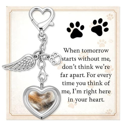 Dog Memorial Gift for Loss of Dog, Pet Hair Keepsake with Angel Wing Charm, Rainbow Bridge Sympathy Gift for Grieving Pet Owners, Heart Memorial Keepsake for Dog and Cat Lovers