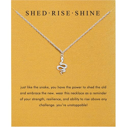 Baydurcan Pendant Necklace for Women Friends Sister Birthday Christmas Gift | Silver Evil Eye Ankh Mary Friendship Dragonfly Hummingbird Snake Turtle Pendant Necklace for Her Just Because Gifts - style: Snake