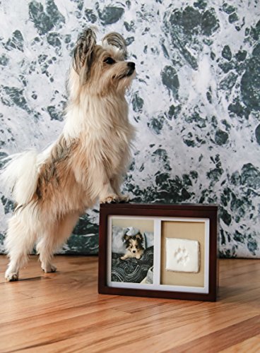 Pearhead Pet Memory Box & Urn - Solid Wood, Espresso Finish, Collars - color: Espresso