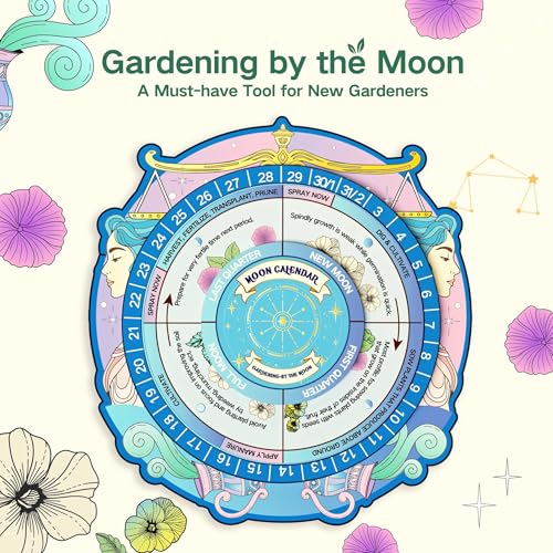 Lush&Dew Zodiac Garden Seed Bank Air Signs, Gardening Gifts for Women Men | 12 Varieties Non-GMO Herb Flower Seeds in Seed Organizers, Heirloom Seed Gift Set, Witchcraft Supplies, Gemini Libra Aquarius - style: Air Signs