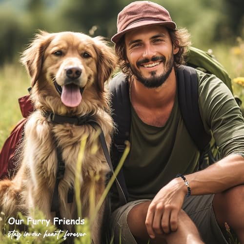 TONY & SANDY Dog Memorial Gifts, Pet Sympathy Rainbow Bridge Pet Memorial Bracelet for Men Women Girls Who Loss of Beloved Dog Cat - color: Black Onyx & Tiger Eye