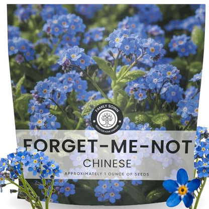 Chinese Forget Me Not – 4,000 Seeds for Planting – 2026 Season – 1 Ounce Pouch - size: 1 oz