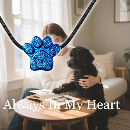 Paw Print Heart Pet Ashes Urn Necklace, Keepsake Pendant-B-Blue - style: B-Blue