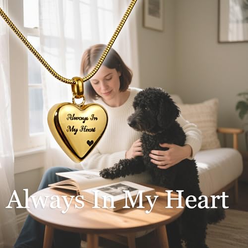 LittleFlower Paw Print Heart Pet Ashes Urn Necklace, Keepsake Pendant-Gold - style: Gold