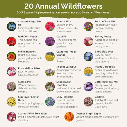 Eden Brothers All Annual Wildflower Mixed Seeds for Planting, 1 oz, Seeds with Sunflower, Indian Blanket, Scarlet Flax | Attracts Pollinators, Plant in Spring, Zones 3, 4, 5, 6, 7, 8, 9, 10 - size: 1 Ounce, style: All Annual