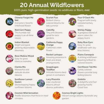 Eden Brothers All Annual Wildflower Mixed Seeds for Planting, 1 oz, Seeds with Sunflower, Indian Blanket, Scarlet Flax | Attracts Pollinators, Plant in Spring, Zones 3, 4, 5, 6, 7, 8, 9, 10 - size: 1 Ounce, style: All Annual