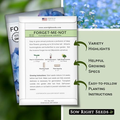 Sow Right Seeds - Chinese Forget-Me-Not Seed for Planting Flowers 25pk