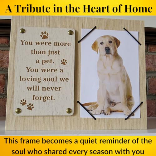 Dog Died Sympathy Gift, Pet Remembrance Picture Frame for Loss, Gifts for Dogs That Passed Away, Pet Memorial Keepsake Frame for Loss, 4 x 6 frames for pictures, lost dog sympathy gift - size: Loving Soul Dog
