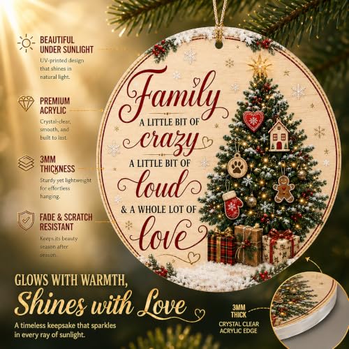 Family Christmas Ornament 2026, Funny Family Tree Ornament, A Little Bit of Crazy, A Little Bit of Loud, A Whole Lot of Love Holiday Keepsake - color: Family1