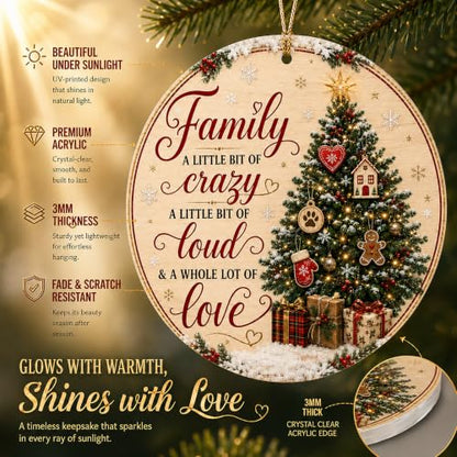 Family Christmas Ornament 2026, Funny Family Tree Ornament, A Little Bit of Crazy, A Little Bit of Loud, A Whole Lot of Love Holiday Keepsake - color: Family1