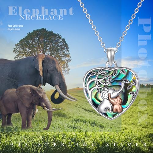 TUGHRA Locket Necklaces That Holds Picture Sterling Silver Elephant Locket Heart Pendant Necklace Photos Jewelry Gifts for Women Teen Mom Daughter - style: 04-Abalone