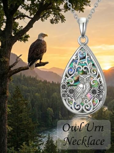 WINNICACA Urn Necklaces for Ashes 925 Sterling Silver Butterfly Hummingbird Dragonfly Teardrop Ash Necklace Cremation Jewelry Urn Pendants for Women Memorial Gifts for Birthday Christmas Funeral - style: 11-Owl Urn Necklace