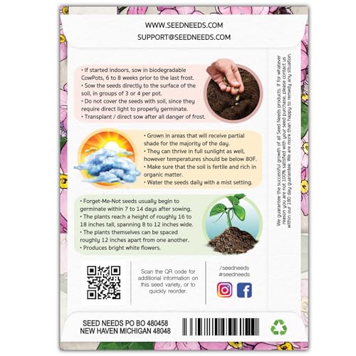 Seed Needs Rose Forget Me Not Seeds to Plant Pink Flowers Outdoors 2 Packs - size: 2 Packs, style: Rose FMN