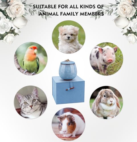 Mini Pet Urn, Small Pet Memorial Urn Handmade Ceramic Pet Urn Suitable for Home or Office Urn with Delicate Box - Blue (Blue)