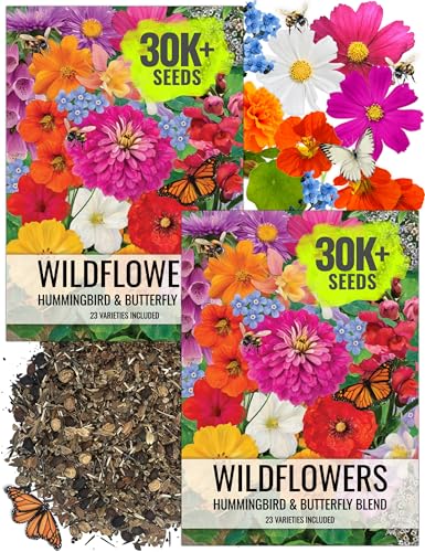 Seed Needs Bulk Wildflower Seeds Hummingbird & Butterfly Seed Mix | 1/4 Pound Total No Filler 23 Varieties Garden Seeds Annual & Perennial Species | Pollinator Friendly Flowering Seed