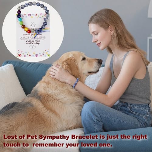 Wood Pet Urns for Dog or Cat Ashes Sets, Pet Cremation Urns - color: Large-Rainbow