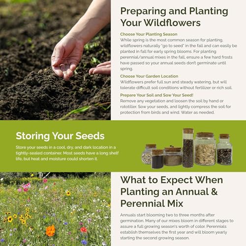Eden Brothers Partial Shade Wildflower Mixed Seeds for Planting, 1/4 lb - size: 1/4 Pound, style: Partial Shade
