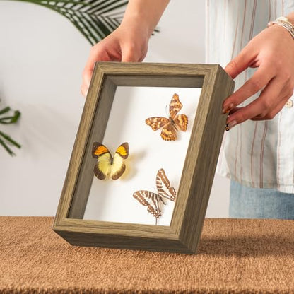 5x7 Small Shadow Box Frame with Ultra-Clear Glass & Soft Linen Back | With Push Pins and Stand, Deep 1.2" Brown Shadow Box Display Case – Display on Tabletop or Wall for Photo, Flower, Keepsakes - color: Brown+high Definition Panel + Shatter-proof Packagi