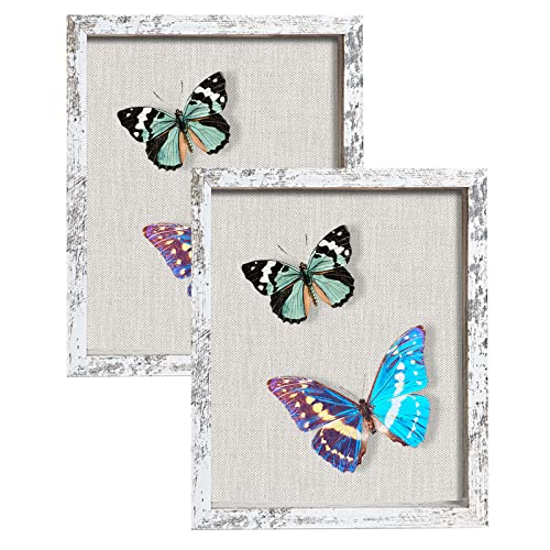 2 Packs 8x10 Shadow Box Frame with Linen Back - Sturdy Rustic Memory Display Case of Flower, Pictures, Medals and More, Distressed White - color: Distressed White, size: 8x10 2P