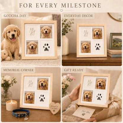 Paw Print Kit with Ink Pad, Soft Clay and 4-Panel Pet Frame | Inkless pad; soft clay; 4-panel frame for 2 photos and 2 prints; tabletop or wall display; dog and cat gift