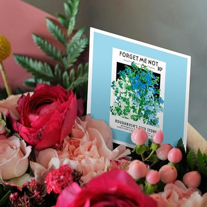 3dRose Forget Me not Dwarf Compact Roudabushs Seed Store 1 Greeting Card with envelope - size: 5.5”
